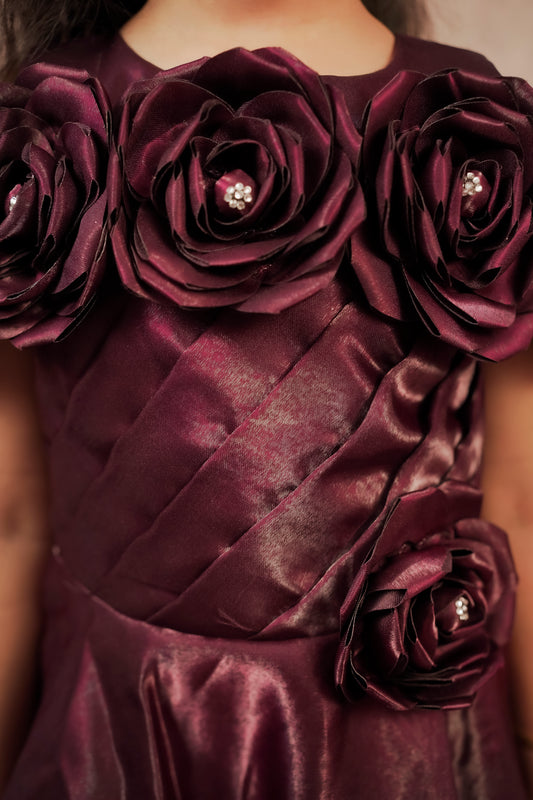 Pariari Girls Elegant Purple wine Applique Party Gown