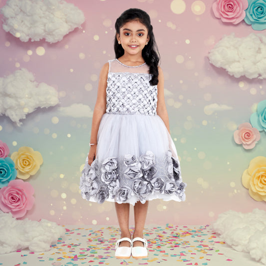 Pariari Girls Grey Polyester Dress with Floral Applique