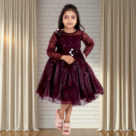 Pariari Girls Floral Applique Polyester Party Dress with long sleeves