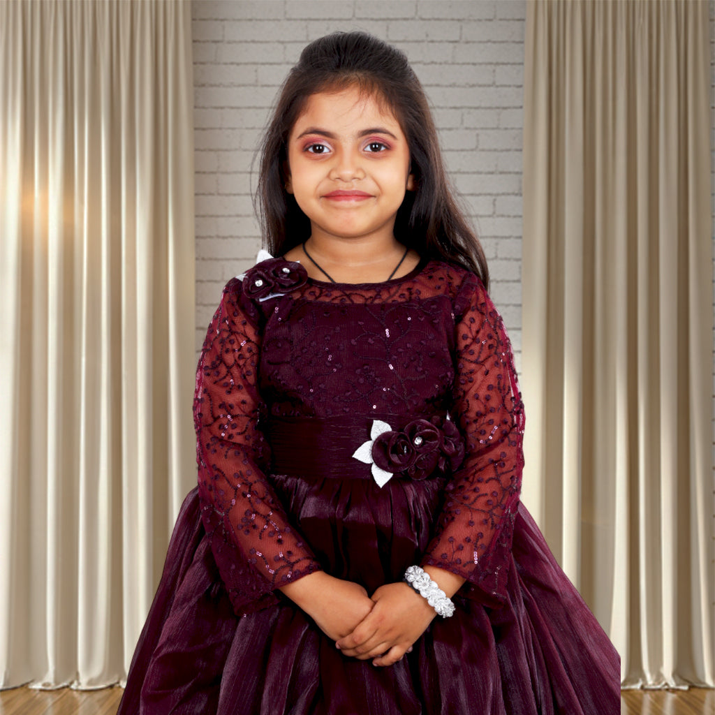 Pariari Girls Floral Applique Polyester Party Dress with long sleeves