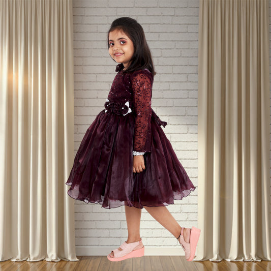 Pariari Girls Floral Applique Polyester Party Dress with long sleeves