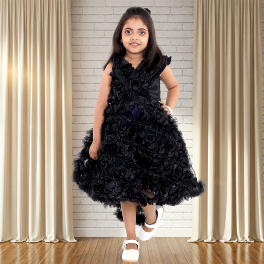 Pariari Black Polyester Sleeveless Floral Applique Party Dress