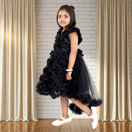 Pariari Black Polyester Sleeveless Floral Applique Party Dress