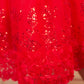 Pariari Girls Red Rose Floral Party Frock