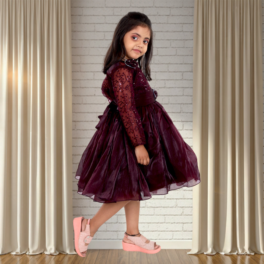 Pariari Girls Floral Applique Polyester Party Dress with long sleeves